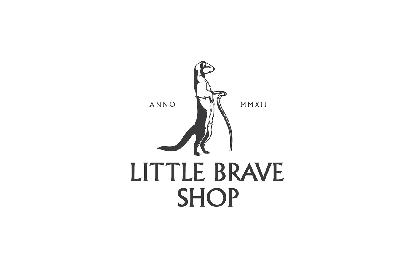 莫斯科Little Brave Shop服装VI设计