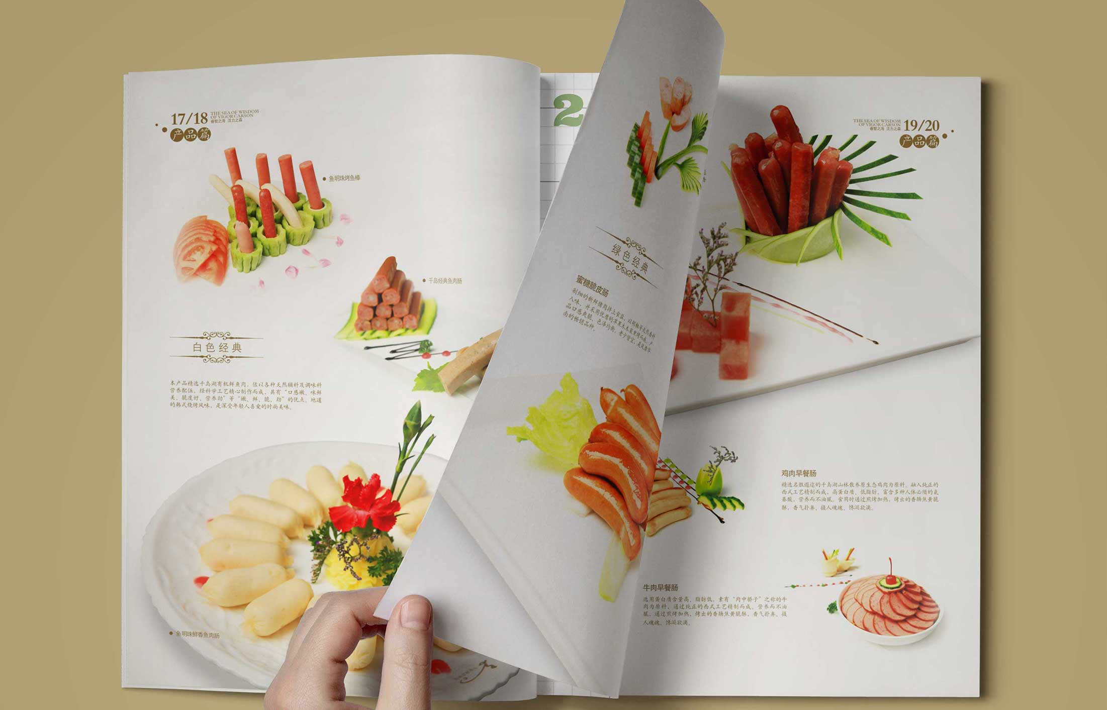 食品宣传画册