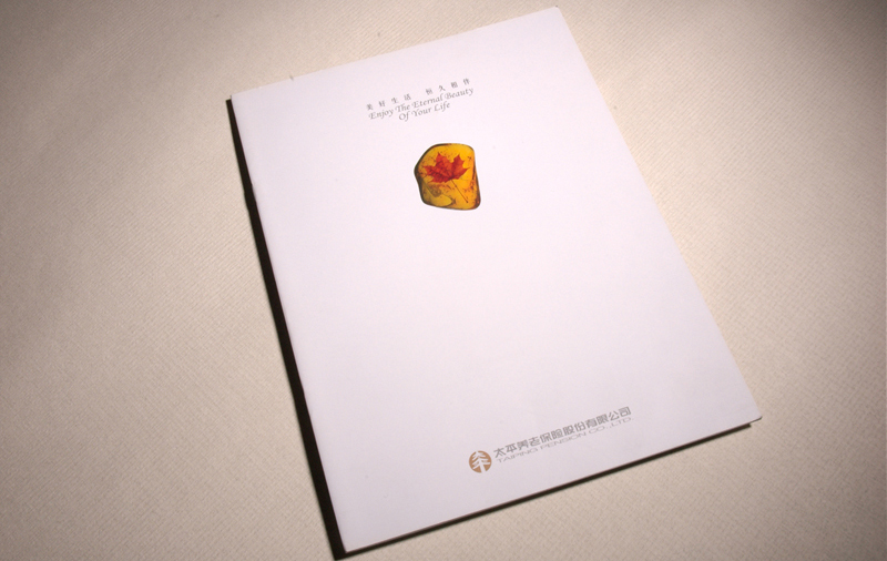 保险产品在品牌营销中会存在哪些问题
