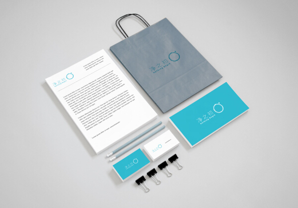 vi设计公司介绍设计专业技术常识