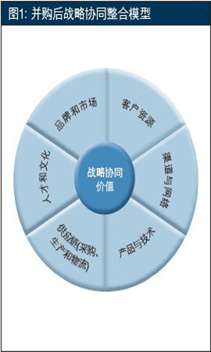 建立战略协同与管理机制以保证并购成功(第1页)