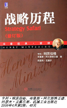 战略管理这头大象