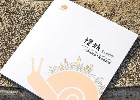 政府宣传册设计石特有经验