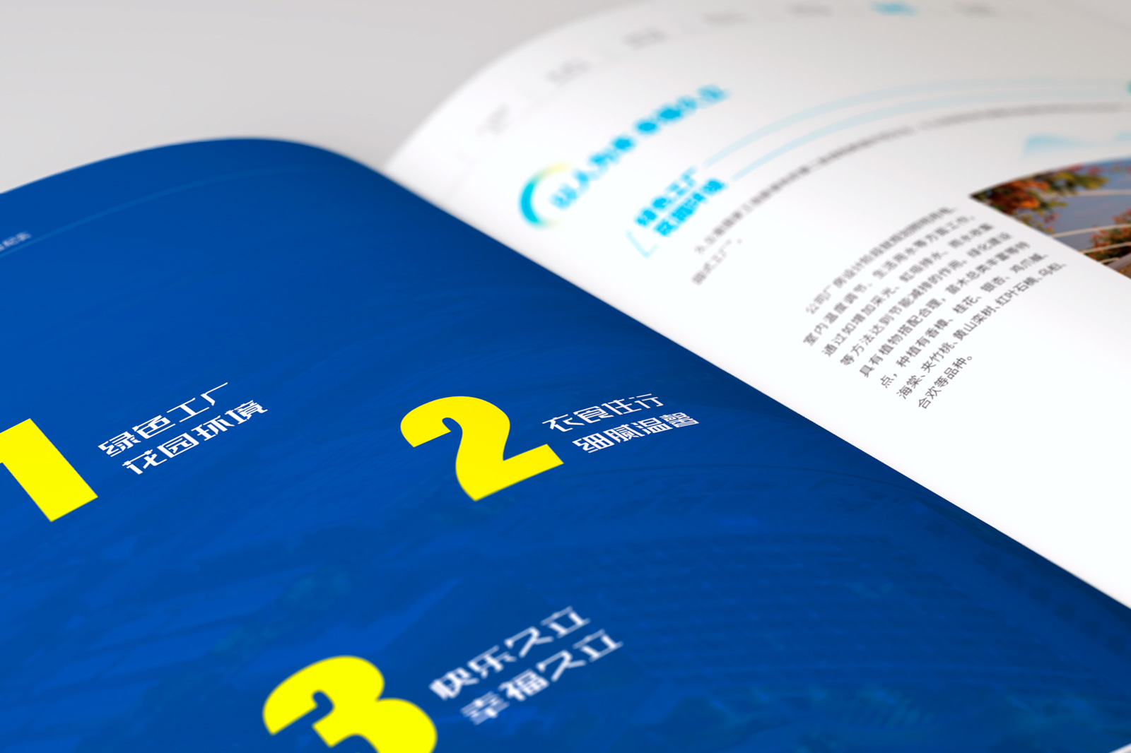 宣传画册设计需要坚持的理念