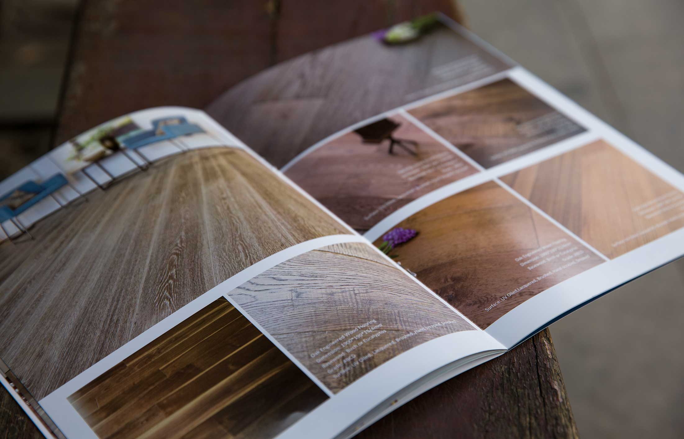 公司宣传册样本设计编辑什么内容合适？