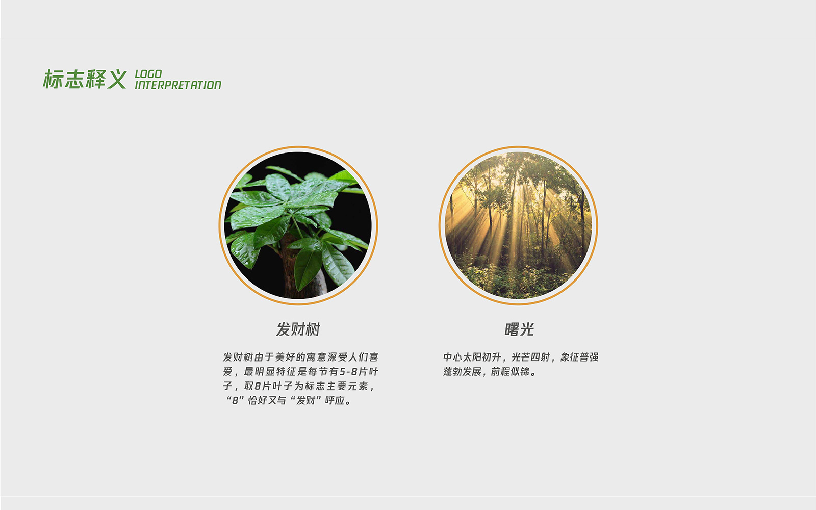 杭州VI设计公司越来越受欢迎